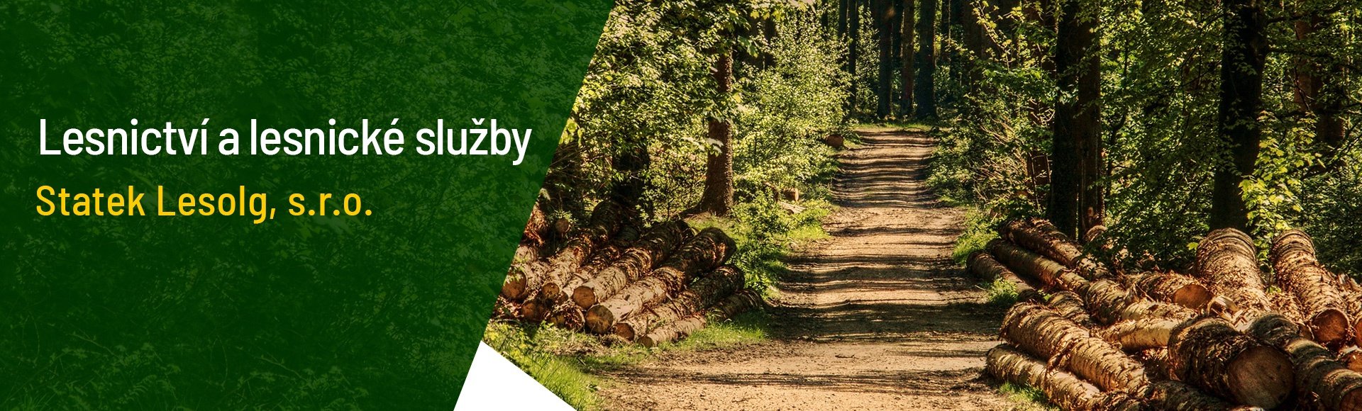 Lesnictví a lesnické služby